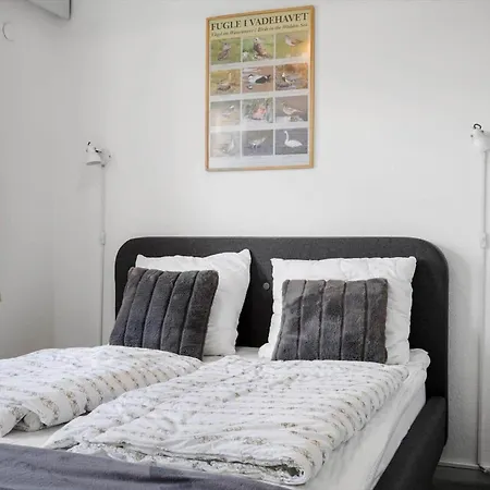 0407-romo-vestergade-225-app-9 Appartement